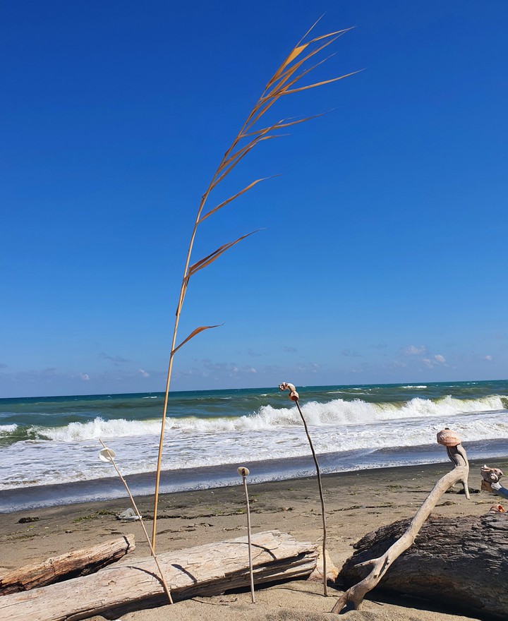 wind