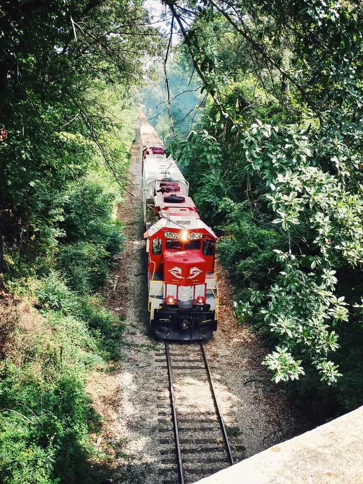 train