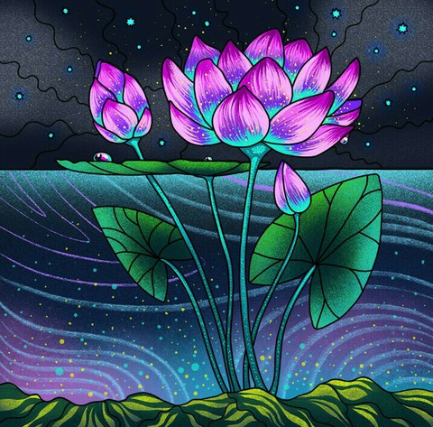 Colourful Lotus