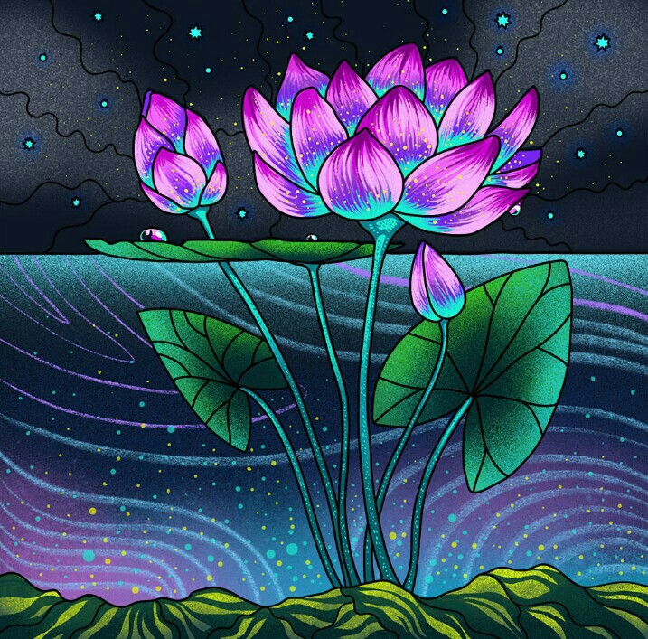 Colourful Lotus