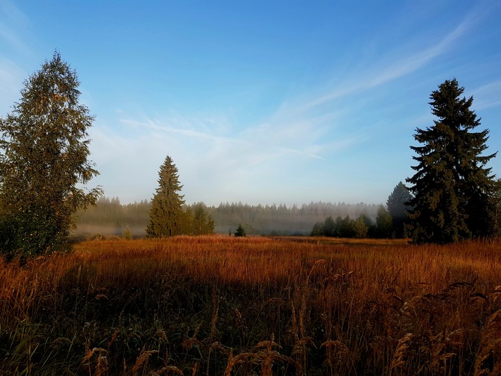 morning's beauty