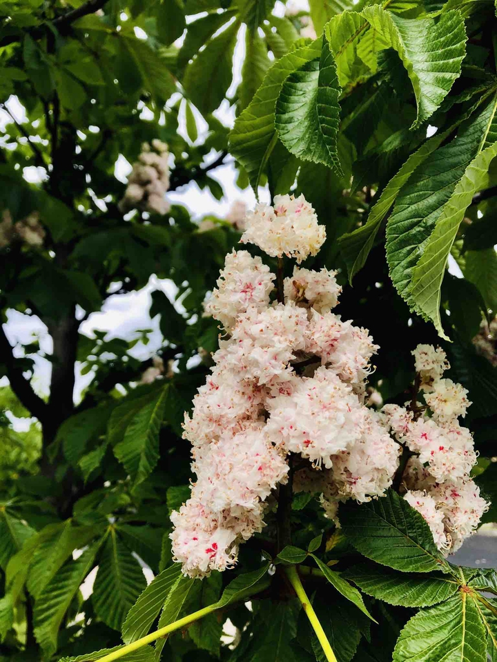 ✨