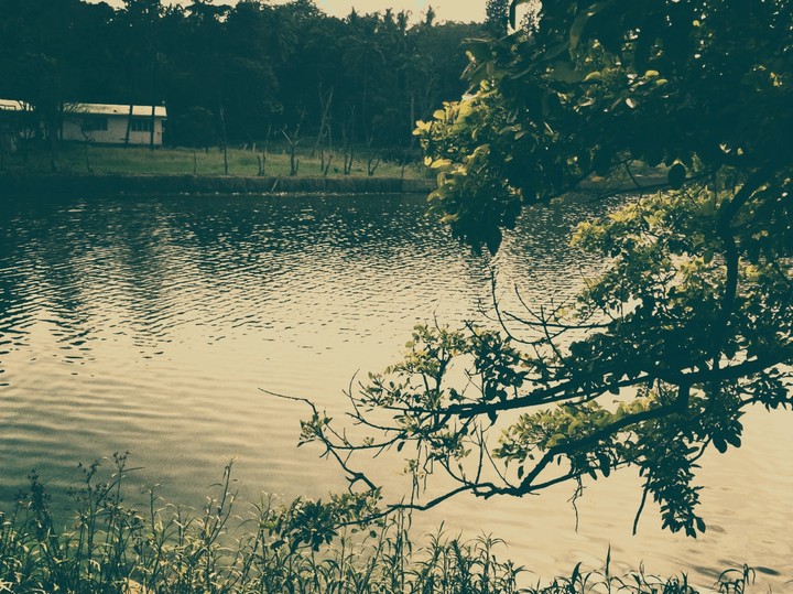 serene environment
