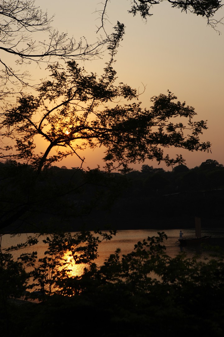 Scenics