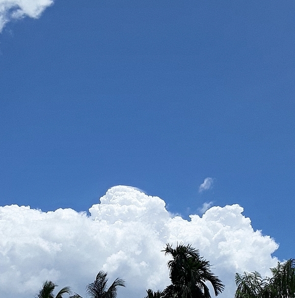 #sky