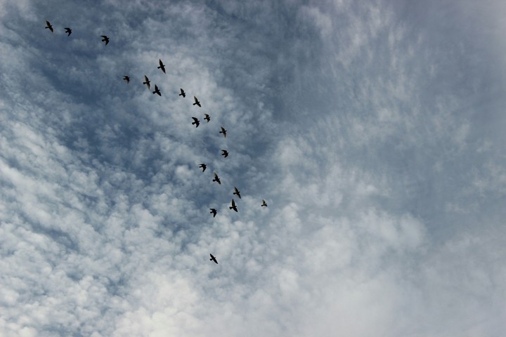 sky is blue