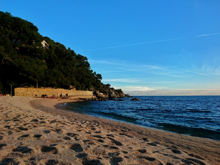 winter sea