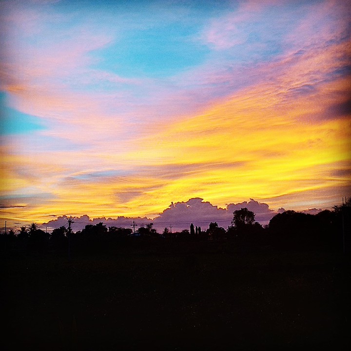 Nature