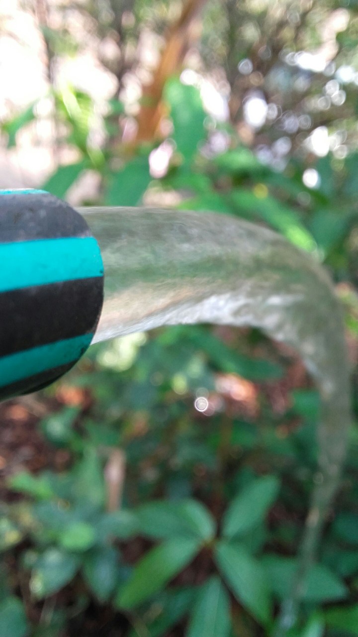 Watering the plants