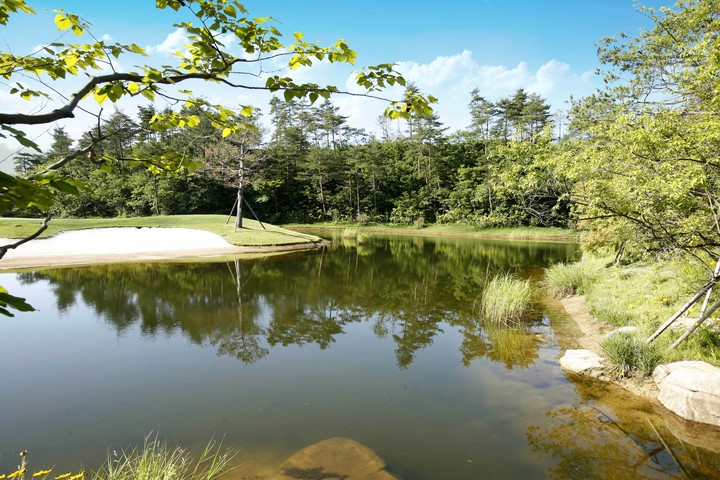 Golf Course