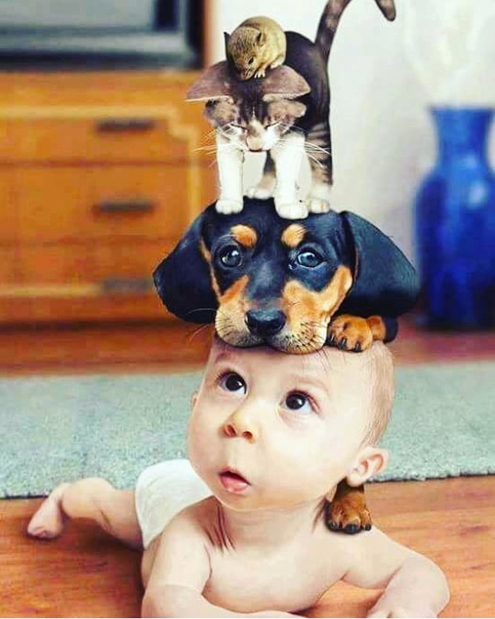 oh Hello