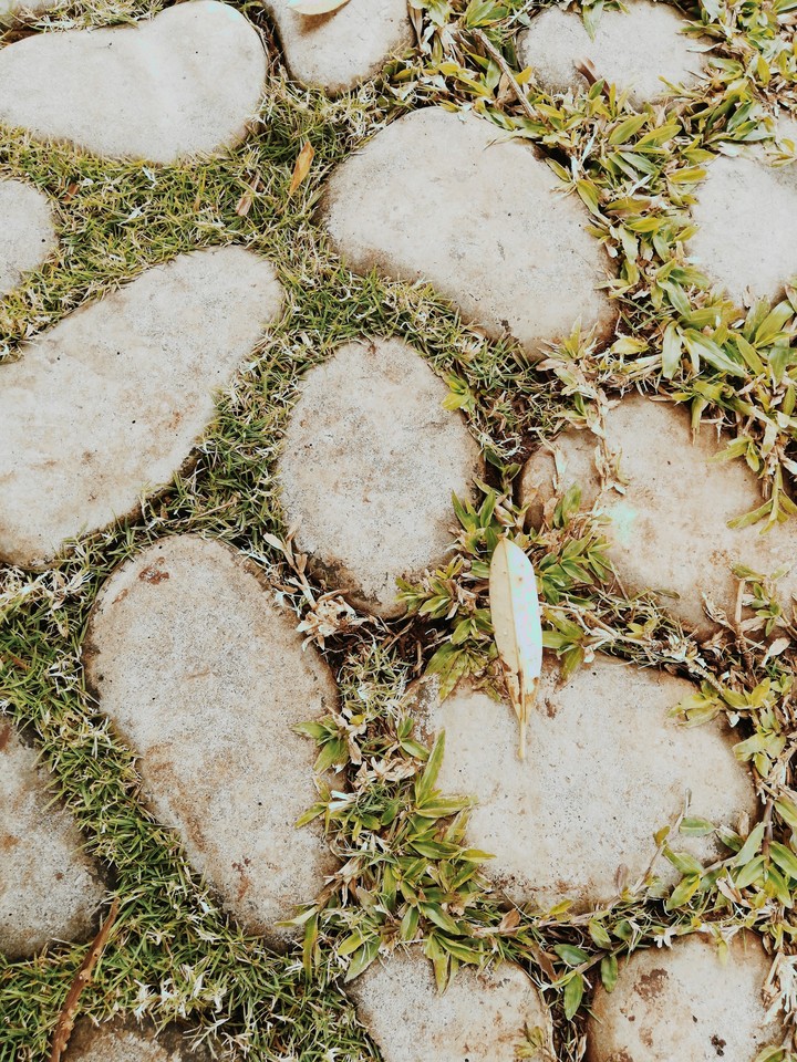 stone & grass