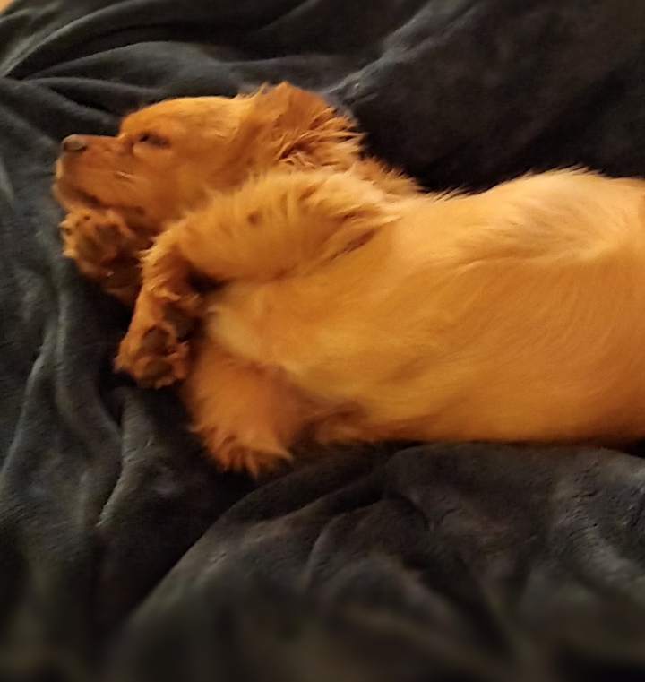 nap time