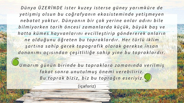 Aforizma