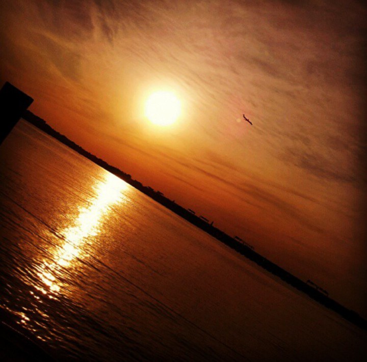 Peace.