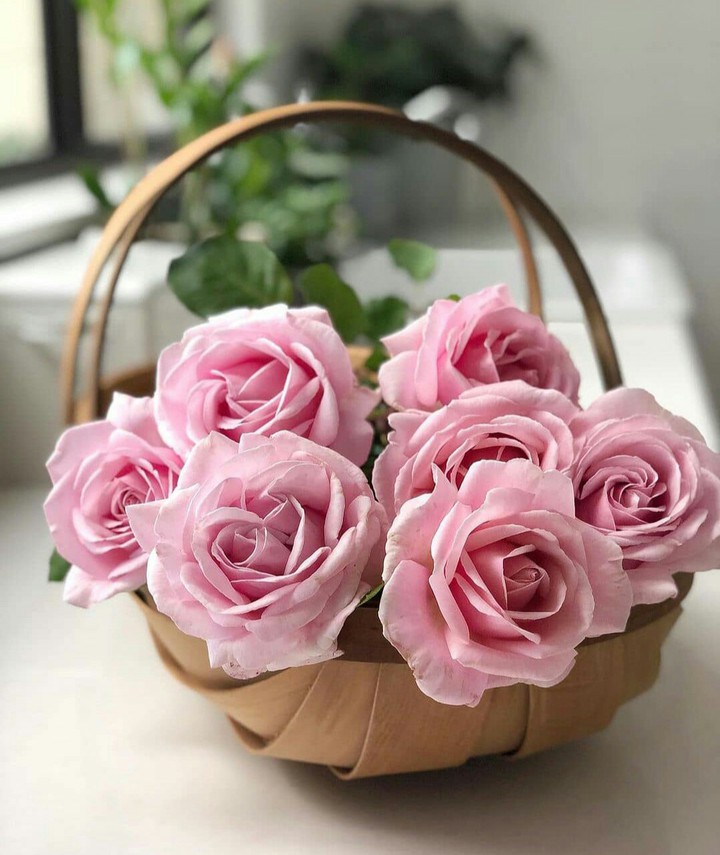 For You With Love ❤