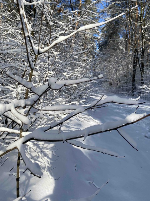 winter Polska