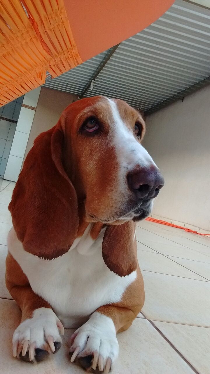 My Baby