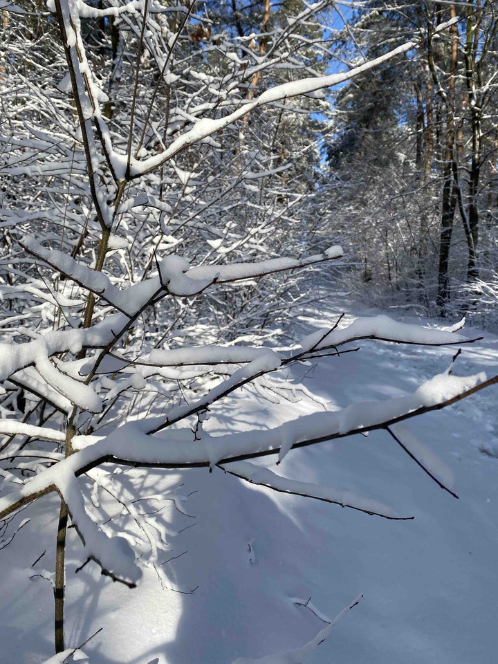 winter Polska