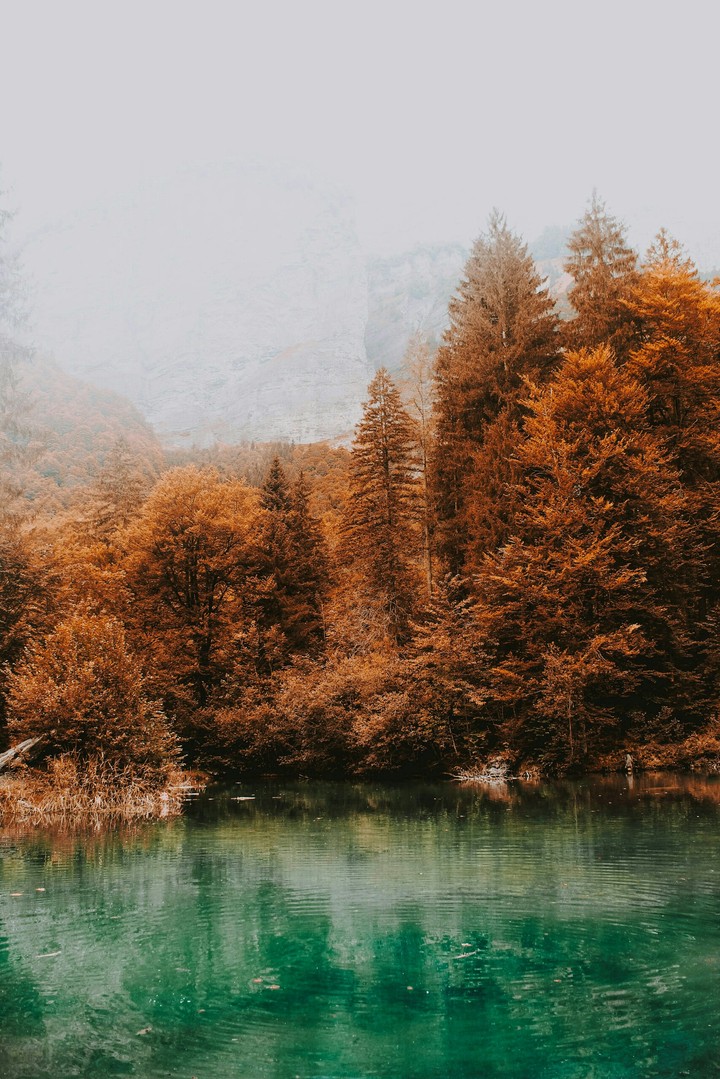 fall