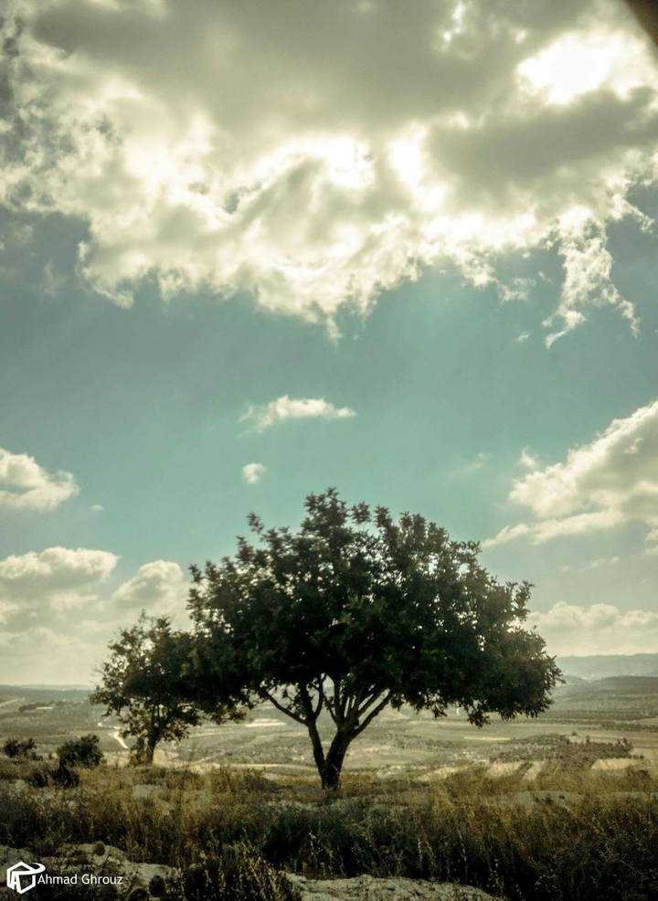 Palestine