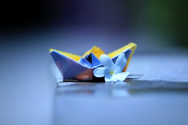 paper boats