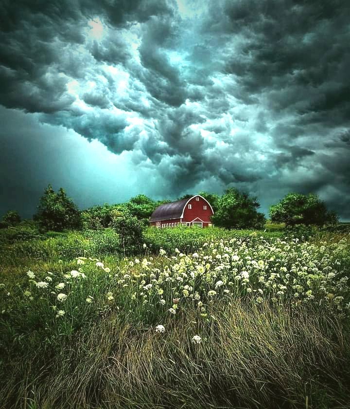 Nature