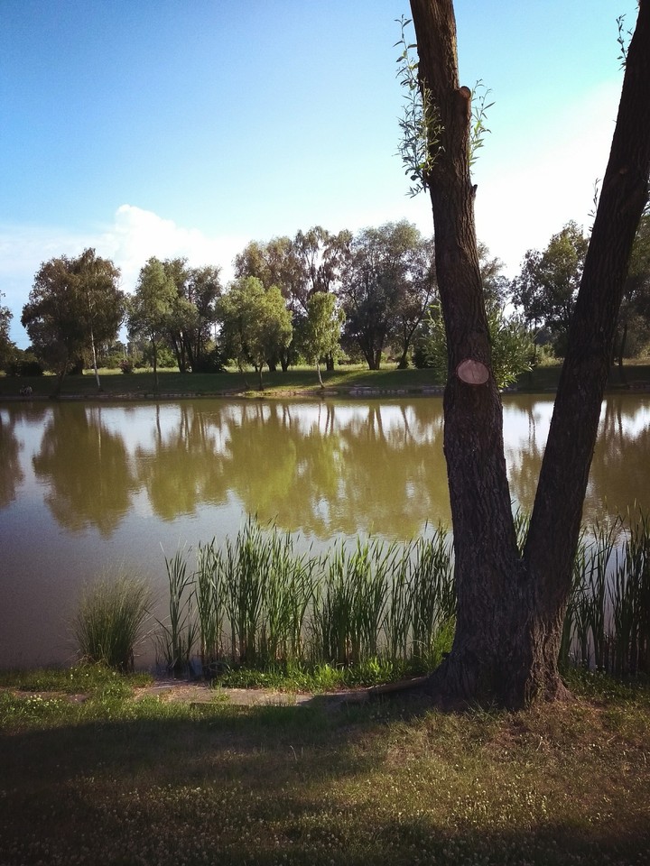 The lagoon in Kutno