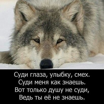 внешность не главное