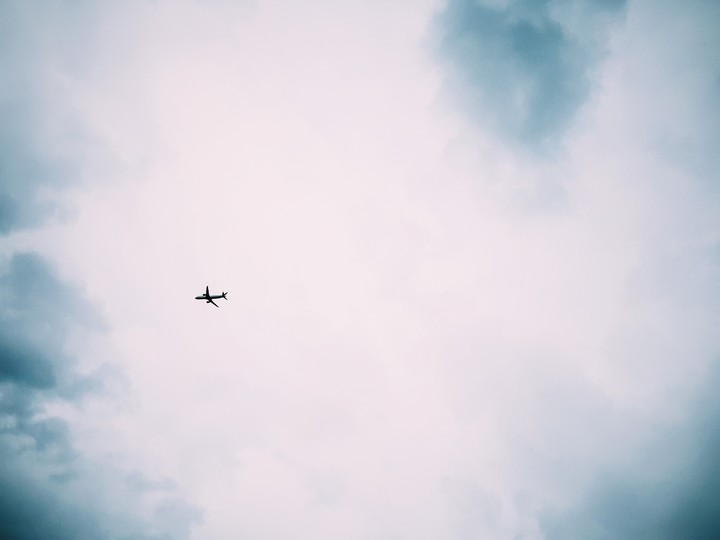 A beautiful swift at sky...