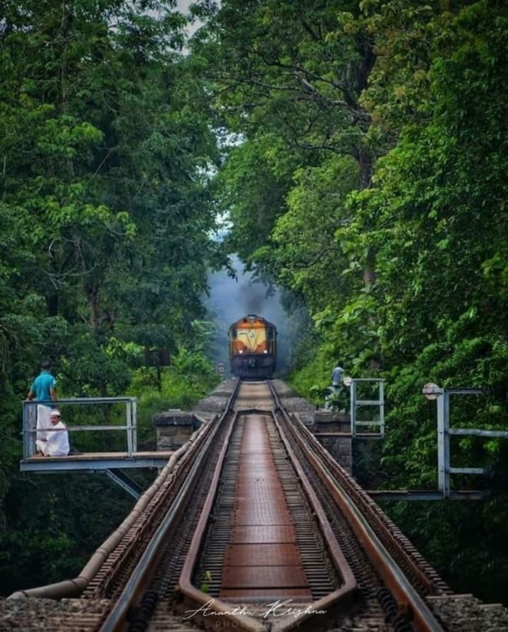 nature wit train