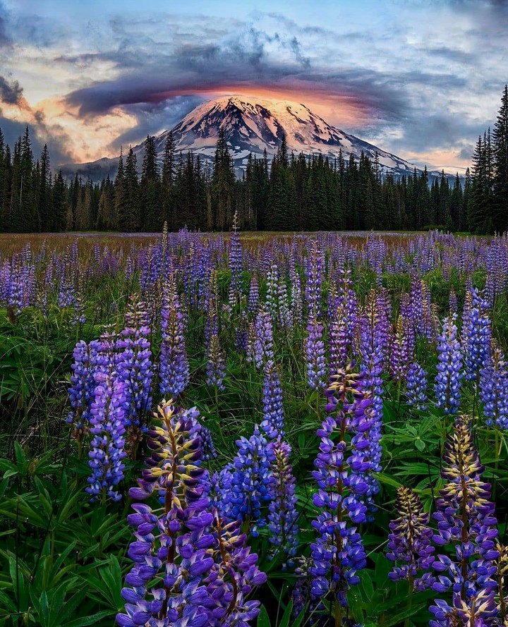 Beauty of Nature