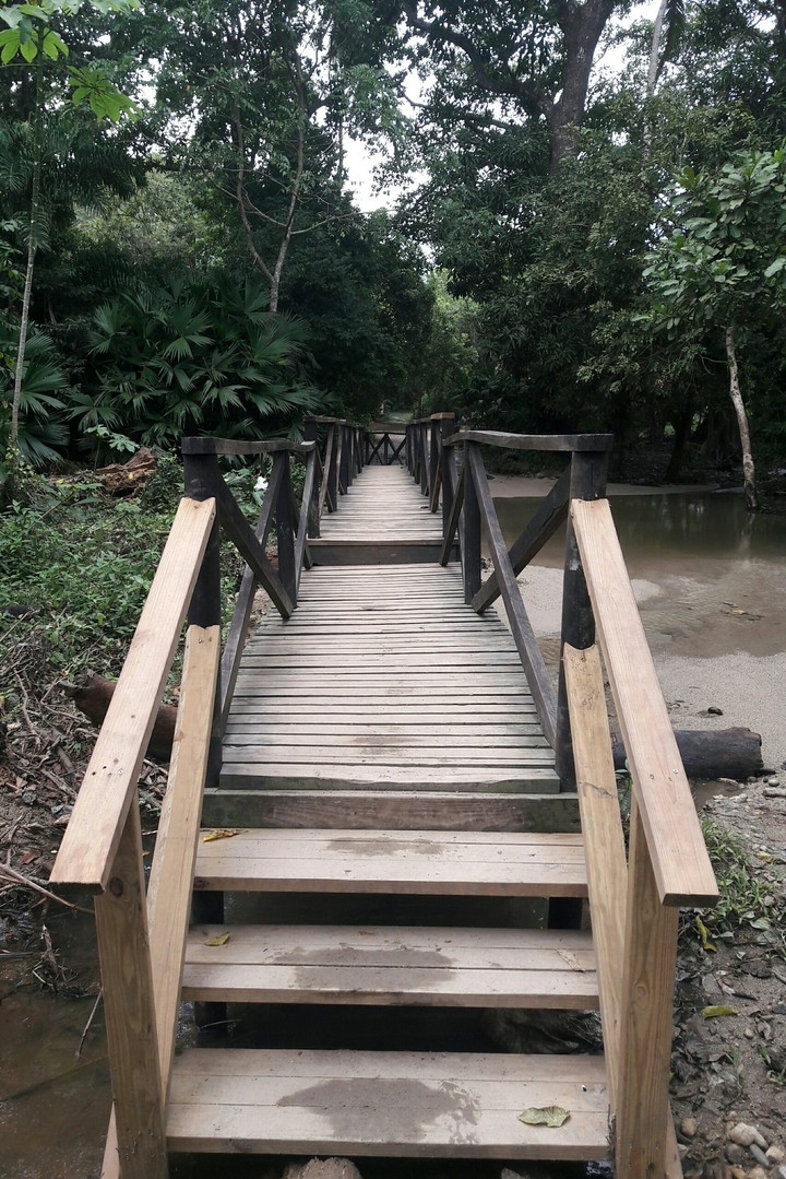 Puente a la felicidad