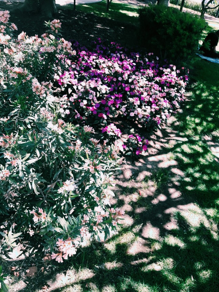 Flower Power