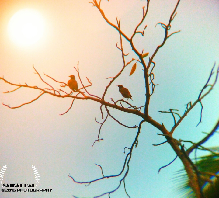 click my mobile