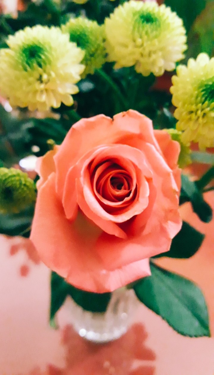 Flowers smile...:)