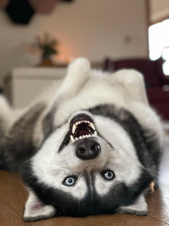 .