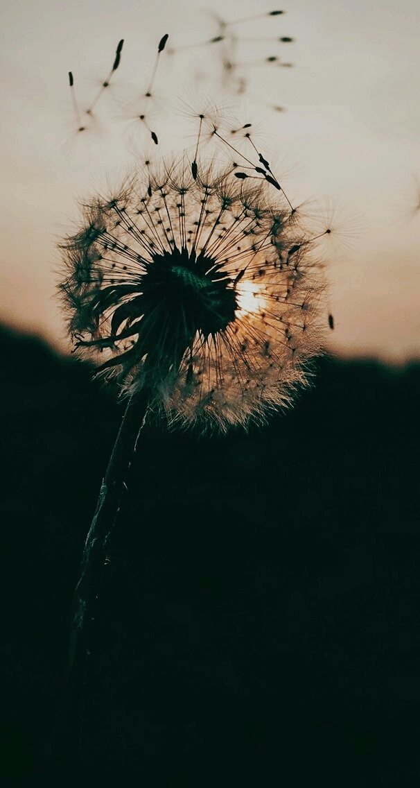 #natura#minunat#apus#