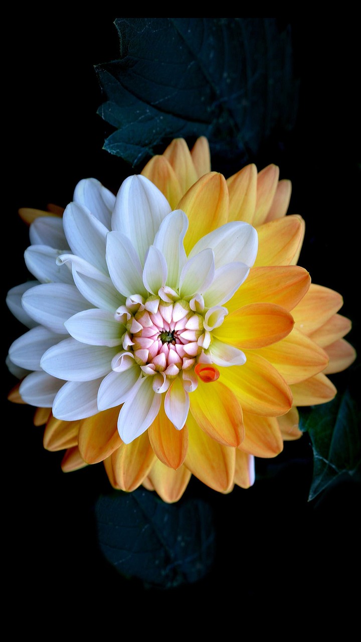 Colourful