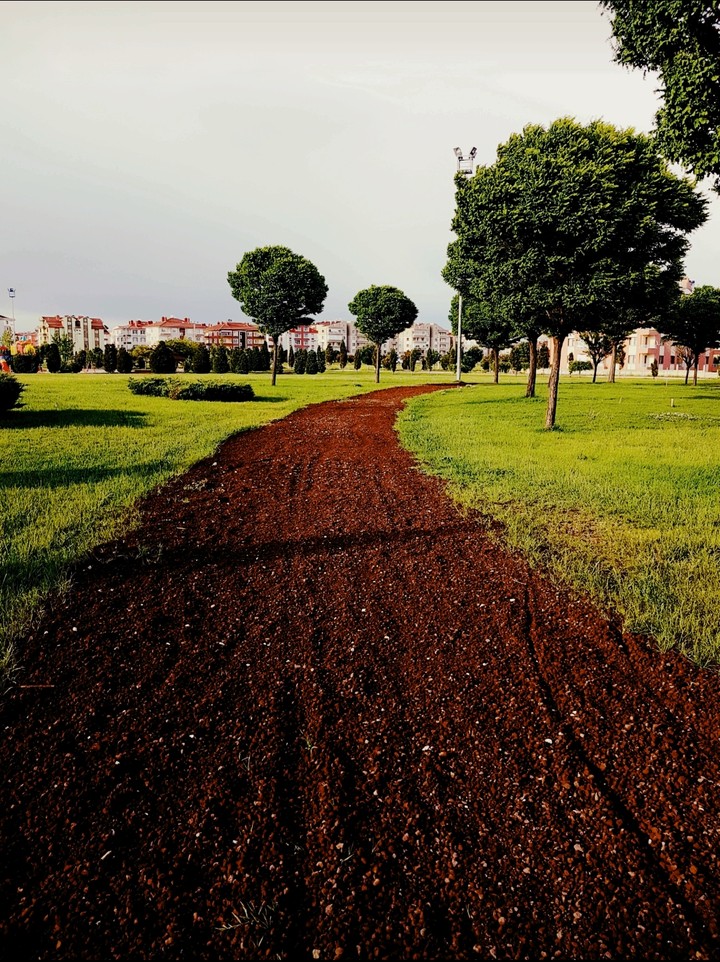 the road