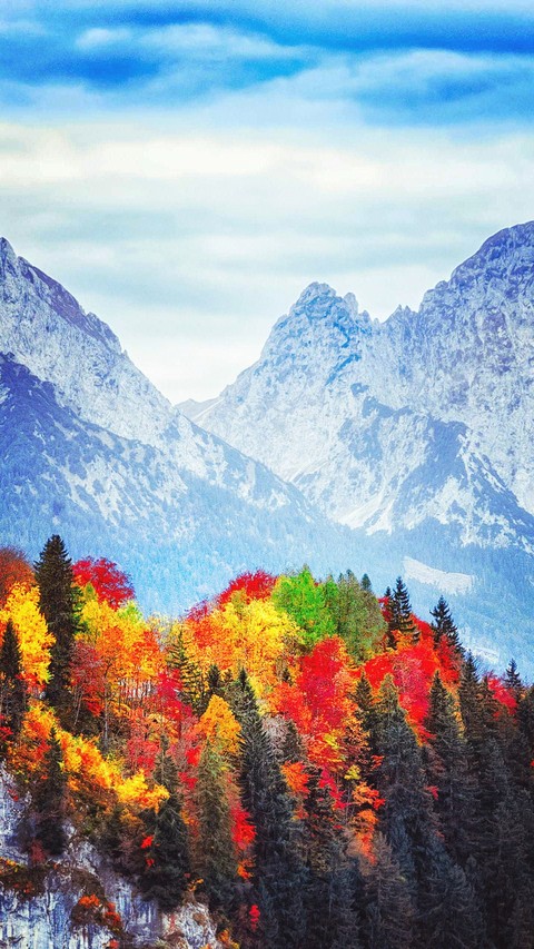 Autumn vs Winter