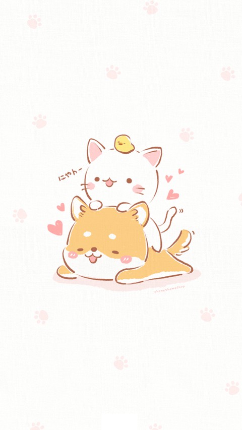 Shiba and cat