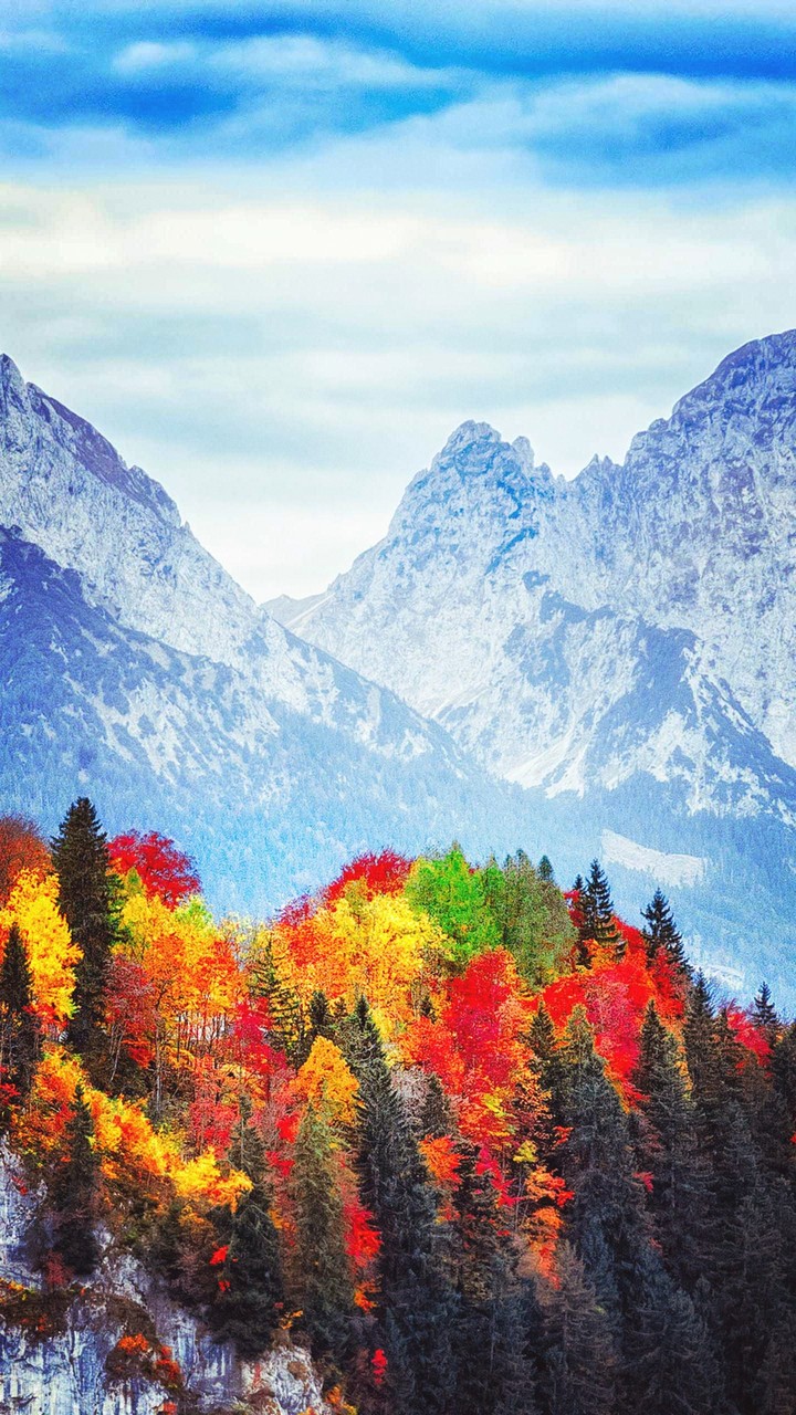 Autumn vs Winter
