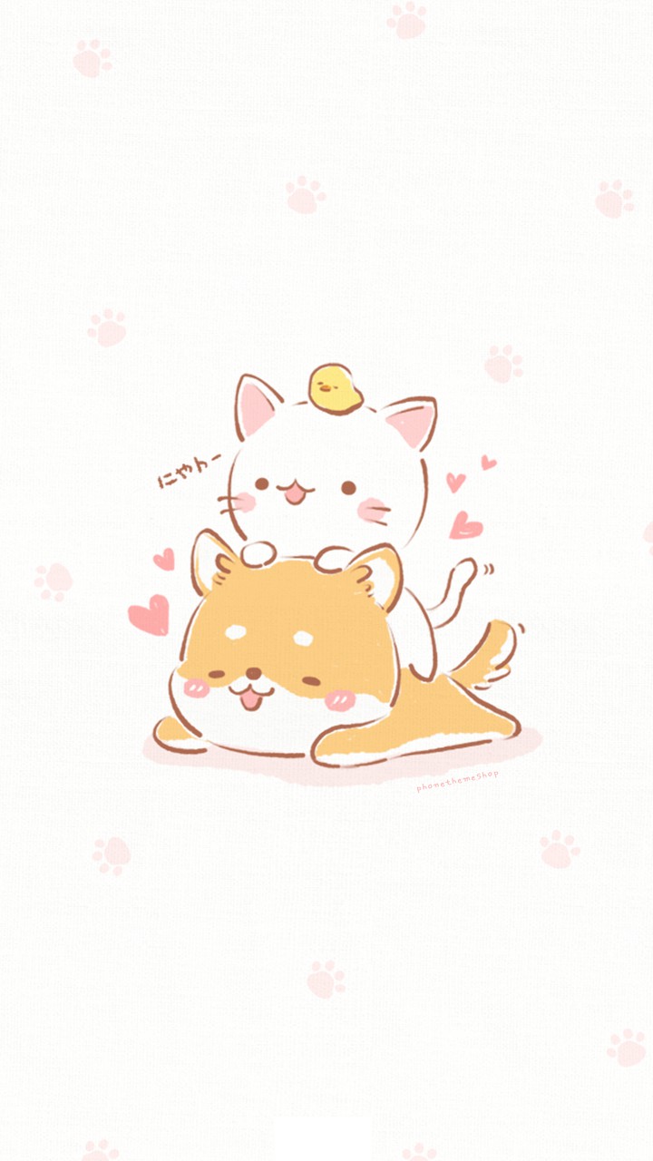 Shiba and cat