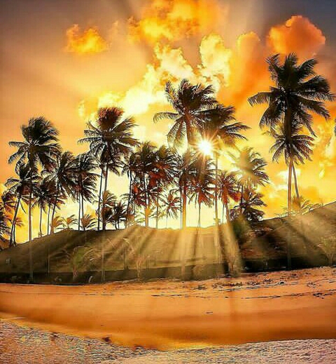 Beautiful beach