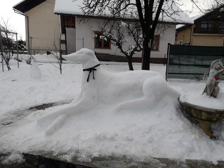 our snow galgo