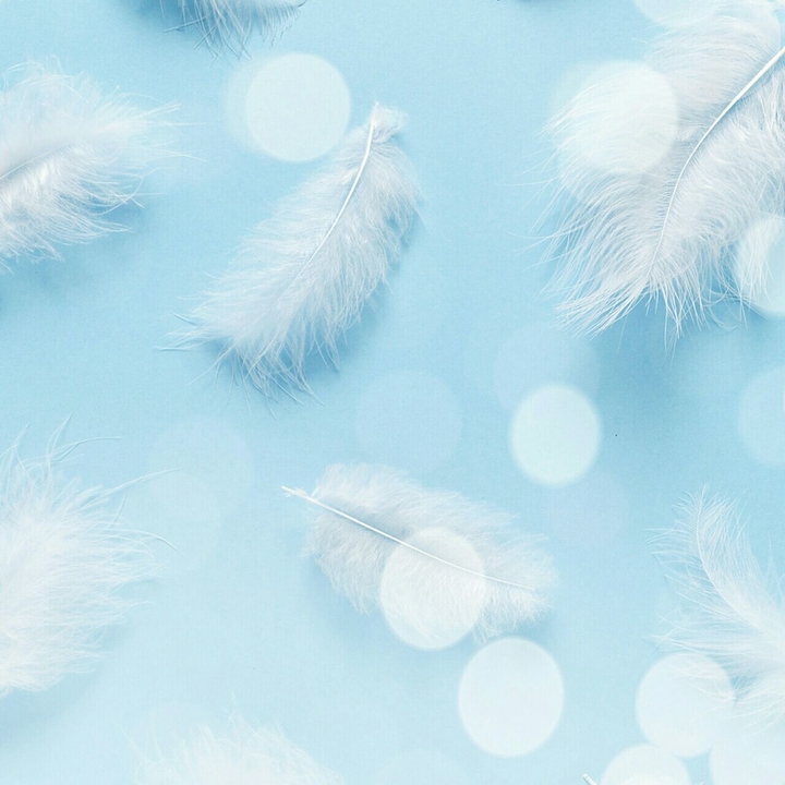 Feathers...