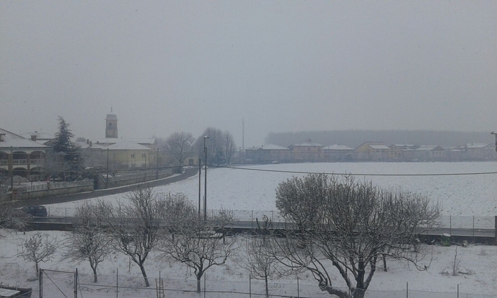Neve