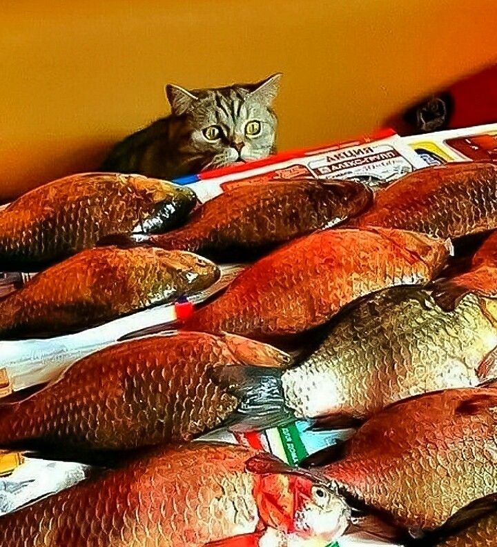 Jackpot