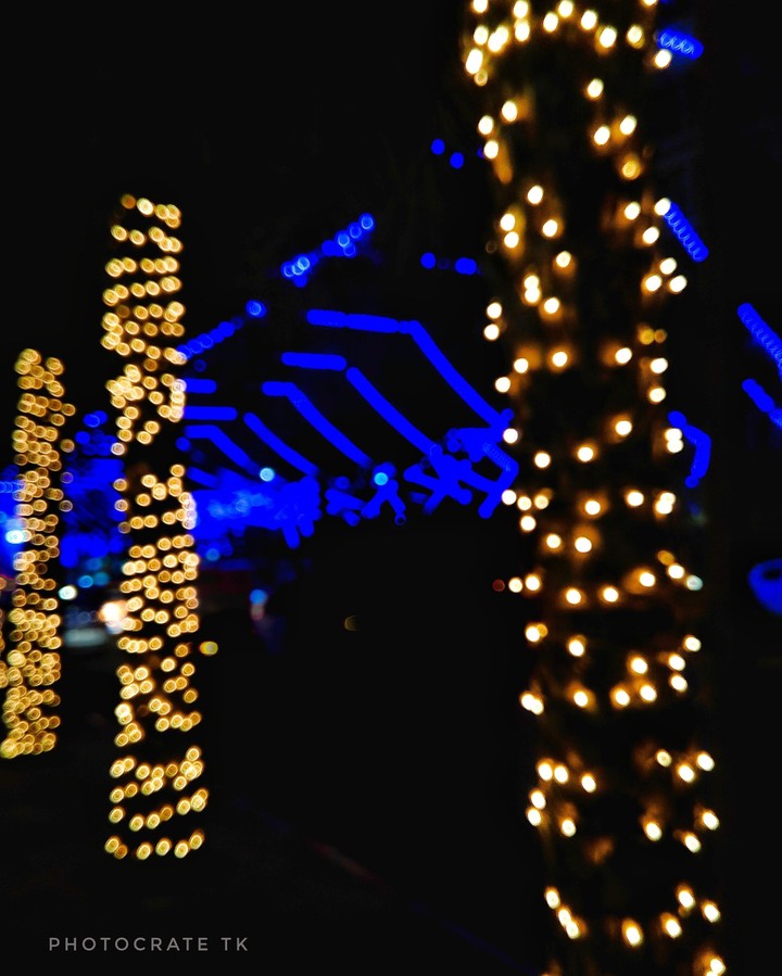 festive 2